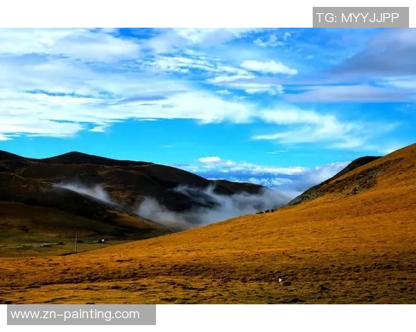 林葳的成长之路与人生哲学探讨：从平凡到卓越的心灵旅程