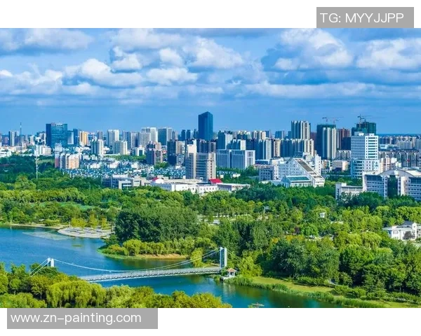 里泽的魅力与挑战：探索这座城市的历史文化与未来发展潜力